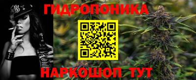 винт Донецк