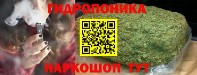 винт Донецк